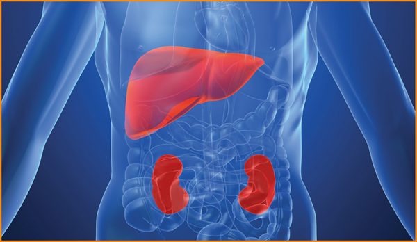 30% Increase In Weight-Gain Linked Kidney Ailments Since Lockdown