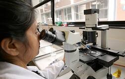 ਪੰਜਾਬ 'ਚ ਡੇਂਗੂ ਦਾ ਕਹਿਰ, 8700 ਮਰੀਜ਼, 28 ਮੌਤਾਂ