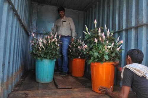 ਸਾਲ 2012 ‘ਚ ਸ੍ਰੀਕਾਂਤ ਨੇ 10 ਏਕੜ ਜ਼ਮੀਨ ਲੈ ਕੇ ਆਧੁਨਿਕ ਖੇਤੀ ਤਕਨੀਕ ਨਾਲ ਫੁੱਲਾਂ ਦੀ ਖੇਤੀ ਕੀਤੀ।