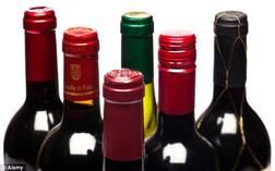 ਸ਼ਰਾਬ ਪੀਣ ਬਾਰੇ ਸਾਰੇ ਭਰਮ-ਭੁਲੇਖੇ ਦੂਰ, ਸਾਰੀਆਂ ਪੁਰਾਣੀਆਂ ਧਾਰਨਾਵਾਂ ਰੱਦ, ਨਵੇਂ ਖੋਜ 'ਚ ਵੱਡਾ ਖੁਲਾਸਾ