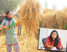 ਬਠਿੰਡਾ ਦੀ ਲੇਡੀ ਅਫਸਰ ਇੰਝ ਕਰ ਰਹੀ ਪਰਾਲੀ ਸਾੜਨ ਦਾ ਹੱਲ