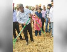 ਬਠਿੰਡਾ ਦੀ ਲੇਡੀ ਅਫਸਰ ਇੰਝ ਕਰ ਰਹੀ ਪਰਾਲੀ ਸਾੜਨ ਦਾ ਹੱਲ