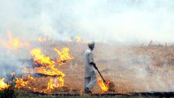 37 ਹਜ਼ਾਰ ਪਰਾਲੀ ਜਲਾਉਣ ਦੇ ਮਾਮਲੇ, 2100 ਚਲਾਨ ਕੱਟੇ ,60 ਲੱਖ ਦੇ ਜੁਰਮਾਨੇ