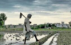 ਕਰਜ਼ਾ ਮਾਫੀ ਬਾਰੇ ਸਰਕਾਰ ਵੱਲੋਂ ਹਾਈਕੋਰਟ 'ਚ ਵੱਡਾ ਖੁਲਾਸਾ