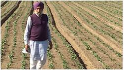 ਦਰਸ਼ਨ ਸਿੰਘ ਦਾ ਜੁਗਾੜ, ਇੱਕ ਏਕੜ 'ਚੋਂ ਡੇਢ ਏਕੜ ਦੀ ਫਸਲ