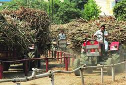 ਗੰਨੇ ਦੇ ਰਹਿੰਦੇ ਬਕਾਏ ਲਈ 25 ਕਰੋੜ ਜਾਰੀ...