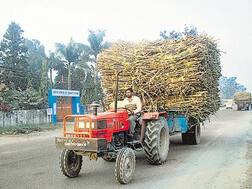 ਗੰਨਾ ਪੈਦਾਵਾਰਾਂ ਲਈ ਮੋਦੀ ਸਰਕਾਰ ਦਾ ਤੋਹਫ਼ਾ