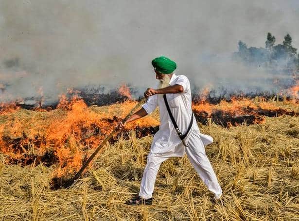 ਸੈਟੇਲਾਈਟ ਤਸਵੀਰਾਂ ਦਾ ਹਵਾਲਾ ਦਿੰਦਿਆਂ ਐਨਓਏਏ ਨੇ ਕਿਹਾ ਕਿ ਉੱਤਰੀ ਭਾਰਤ ਵਿੱਚ ਫ਼ਸਲਾਂ ਦੀ ਰਹਿੰਦ ਖੂੰਹਦ (ਪਰਾਲੀ) ਸਾੜੇ ਜਾਣ ਦਾ ਰੁਝਾਨ ਭਾਰਤ ਤੇ ਪਾਕਿਸਤਾਨੀ ਸ਼ਹਿਰਾਂ ’ਚ ਹਵਾ ਵਿਚਲੇ ਪ੍ਰਦੂਸ਼ਣ ਨੂੰ ਖ਼ਤਰਨਾਕ ਹੱਦ ਤਕ ਪਹੁੰਚਾਉਣ ਲਈ ਜ਼ਿੰਮੇਵਾਰ ਹੈ।