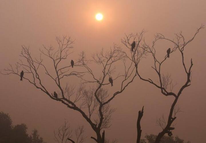 ਸੰਸਥਾ ਮੁਤਾਬਕ ਨਵੀਂ ਦਿੱਲੀ ਸਥਿਤ ਅਮਰੀਕੀ ਅੰਬੈਸੀ ’ਚ ਸੱਤ ਤੋਂ ਦਸ ਨਵੰਬਰ ਦੇ ਵਿਚਾਲੇ ਪੀਐਮ 2.5 ਲਈ ਹਰ ਘੰਟੇ ਲਈ ਦਰਜ ਕੀਤੀ ਗਈ ਹਵਾ ਦੀ ਗੁਣਵੱਤਾ ਦਾ ਸੂਚਕ (ਏਕਿਊਆਈ) 500 ਦੇ ਅੰਕੜੇ ਨੂੰ ਵੀ ਟੱਪ ਗਿਆ ਸੀ। 