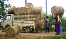 ਹੁਣ 5500 ਨੂੰ ਵਿਕੇਗੀ ਕਿਸਾਨ ਦੀ ਪਰਾਲੀ