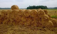 ਹੁਣ 5500 ਨੂੰ ਵਿਕੇਗੀ ਕਿਸਾਨ ਦੀ ਪਰਾਲੀ