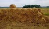 ਹੁਣ 5500 ਨੂੰ ਵਿਕੇਗੀ ਕਿਸਾਨ ਦੀ ਪਰਾਲੀ