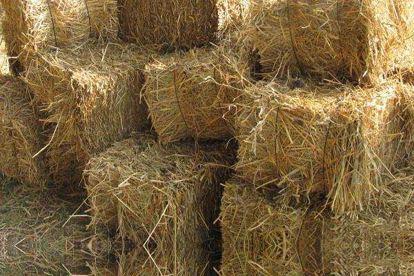 ਉਨ੍ਹਾਂ ਦੱਸਿਆ ਕਿ ਐਨ.ਟੀ.ਪੀ.ਸੀ. ਪਰਾਲੀ ਦੀਆਂ ਗੋਲੀਆਂ ਬਣਾਉਣ ਲਈ ਜਲਦ ਹੀ ਟੈਂਡਰ ਕੱਢੇਗੀ।