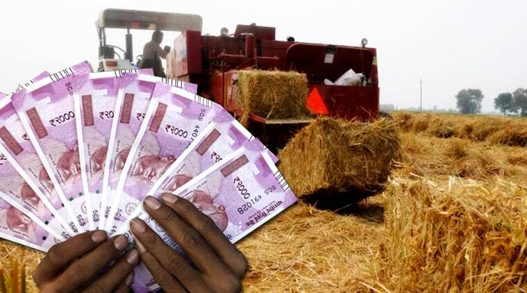 peddy straw management ਹੁਣ ਪਰਾਲੀ ਤੋਂ ਬਣੇਗੀ ਬਾਇਓਗੈਸ, ਹਰ ਜ਼ਿਲ੍ਹੇ 'ਚ ਪ੍ਰੋਜੈਕਟ