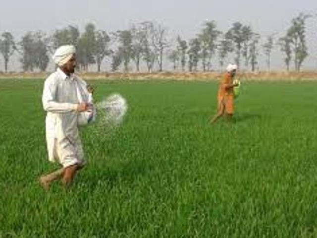 ਹਾੜੀ ਦੇ ਸੀਜਨ \'ਚ ਘੱਟ ਸਕਦਾ ਯੂਰੀਆ ਦਾ ਉਤਪਾਦਨ