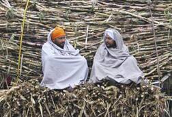 ਪੰਜਾਬ ਸਰਕਾਰ ਨੇ ਵਧਾਇਆ ਸਿਰਫ 10 ਰੁਪਏ ਗੰਨੇ ਦਾ ਭਾਅ! 