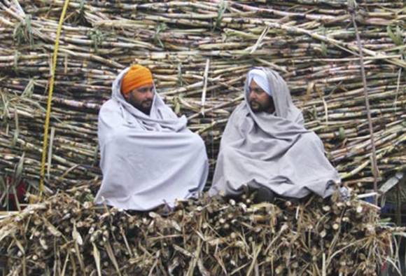 ਪੰਜਾਬ ਸਰਕਾਰ ਨੇ ਵਧਾਇਆ ਸਿਰਫ 10 ਰੁਪਏ ਗੰਨੇ ਦਾ ਭਾਅ!