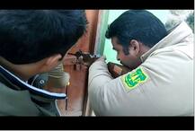 ...ਜਦੋਂ ਬਾਥਰੂਮ \'ਚ ਆ ਵੜਿਆ ਤੇਂਦੂਆ