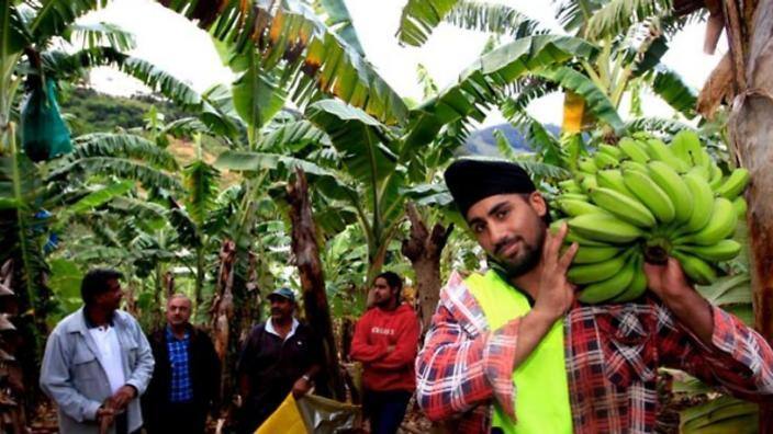 site_197_Punjabi_504081