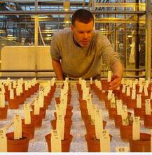 ਮੰਗਲ \'ਤੇ ਜੀਵਨ, ਵਿਕਸਤ ਹੋਏ ਗੰਡੋਏ