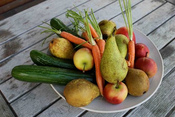 ਜੇਕਰ ਸਬਜ਼ੀਆਂ ਤੇ ਫਲ ਸਹੀ ਤਰੀਕੇ ਨਾਲ ਨਹੀਂ ਕੱਟੇ ਤਾਂ ਜੂਸ ਤੇ ਸਿਕਸਰ ਦੋਵੇਂ ਖਰਾਬ ਹੋ ਸਕਦਾ ਹੈ। ਇਸ ਲਈ ਮਿਕਸਰ ਦੇ ਸਾਈਜ਼ ਦੇ ਹਿਸਾਬ ਨਾਲ ਸਬਜ਼ੀਆਂ ਦਾ ਸਾਈਜ਼ ਰੱਖੋ । ਖਾਸਕਰ ਜੇ ਸਲੋ ਮਿਸਕਸਰ ਹੈ ਤਾਂ ਵੱਡੇ ਟੁਕੜਿਆਂ ਨਾਲ ਖ਼ਰਾਬ ਹੋ ਸਕਦਾ ਹੈ।