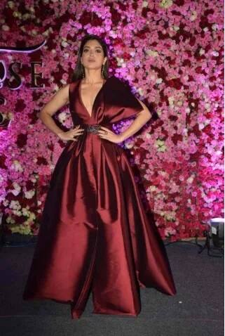 ਇਸ ਵਿੱਚ ਉਹ ਕਾਫੀ ਹੱਦ ਤੱਕ ਸਫਲ ਹੋਈ ਹੈ।