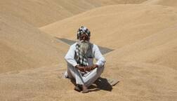 7 ਜਨਵਰੀ ਤੋਂ ਕਿਸਾਨ ਹੋਣਗੇ ਕਰਜ਼ੇ ਤੋਂ ਮੁਕਤ