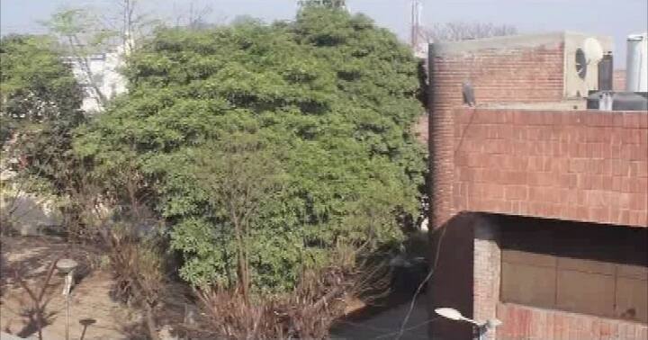 ਬੱਚਿਆਂ ਦੀ ਜੇਲ੍ਹ ਵਿੱਚ ਪਹੁੰਚੇ ਐਸਡੀਐਮ ਦਮਨਪ੍ਰੀਤ ਸਿੰਘ ਨੇ ਦੱਸਿਆ ਕਿ ਦੋਵੇਂ ਬੱਚੇ ਅੱਜ ਸਵੇਰੇ ਪਹਿਲੀ ਮੰਜ਼ਲ ਦੀ ਲੋਹੇ ਦੀ ਰਾਡ ਕੱਟ ਕੇ ਤਾਰ ਦੇ ਸਹਾਰੇ ਪਹਿਲੀ ਮੰਜ਼ਲ ਤੋਂ ਹੇਠ ਉੱਤਰ ਗਏ। ਇਸ ਮਗਰੋਂ ਇਹ ਦੋਵੇਂ ਫਰਾਰ ਹੋ ਗਏ। 