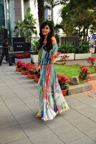 ਇਸ ਦੇ ਨਾਲ ਹੀ ਪੂਜਾ ਨੇ ਤਾਮਿਲ ਫਿਲਮ ਤੇ ਇੱਕ ਅੰਗਰੇਜ਼ੀ ਡਾਕੂਮੈਂਟਰੀ ਵਿੱਚ ਵੀ ਕੰਮ ਕੀਤਾ ਹੈ।