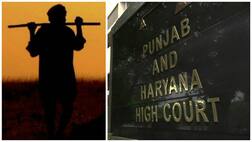 ਕਿਸਾਨ ਖੁਦਕੁਸ਼ੀਆਂ ਦੇ ਇਹ ਕਾਰਨ ਹੈ, ਹਾਈਕੋਰਟ 'ਚ ਉੱਠਿਆ ਮਾਮਲਾ...