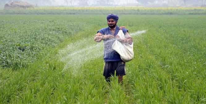 Urea crise sin Punjab farmers focused on Haryana  ਪੰਜਾਬ ‘ਚ ਯੂਰੀਆ ਸੰਕਟ, ਕਿਸਾਨਾਂ ਦਾ ਹਰਿਆਣਾ ਵੱਲ ਰੁਖ਼