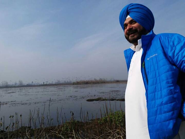 ਸਿੱਧੂ ਨੇ ਕਿਹਾ ਕਿ ਗੁਰਦਸਪੁਰ ਵਿੱਚ ਪੈਂਦੀ ਇਸ ਬਰਡ ਸੈਂਚਰੀ ਨੂੰ ਪੰਜਾਬ ਦੇ ਇੱਕ ਬਹੁਤ ਵੱਡੇ ਟੂਰਿਸਟ ਡੈਸਟੀਨੇਸ਼ਨ ਵਜੋਂ ਵਿਕਸਤ ਕੀਤਾ ਜਾਵੇਗਾ।