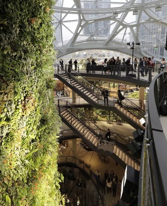 ਅਮੇਜਨ ਨੇ ਦਫਤਰ 'ਤੇ 254 ਅਰਬ ਰੁਪਏ ਖਰਚੇ