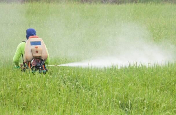 ਕੀਟਨਾਸ਼ਨਕ ਹੀ ਨਹੀਂ ਇਹ ਵੀ ਕੈਂਸਰ ਦੇ ਕਾਰਨ agriculture experts asserts pesticides are not only element which causes cancer in malwa belt of punjab ਕੀਟਨਾਸ਼ਨਕ ਹੀ ਨਹੀਂ ਇਹ ਵੀ ਕੈਂਸਰ ਦੇ ਕਾਰਨ