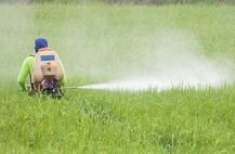 ਕੀਟਨਾਸ਼ਨਕ ਹੀ ਨਹੀਂ ਇਹ ਵੀ ਕੈਂਸਰ ਦੇ ਕਾਰਨ