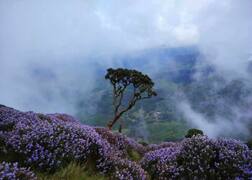 ਇਹ ਸਥਾਨ ਆਪਣੀਆਂ ਰਹੱਸਮਈ ਖ਼ਾਸੀਅਤਾਂ ਕਾਰਨ ਜਾਣੇ ਜਾਂਦੇ