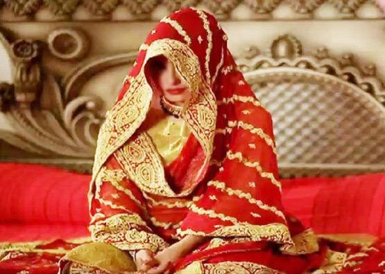 ਨਵੀਂ ਦਿੱਲੀ: ਮੱਧ ਪ੍ਰਦੇਸ਼ ਵਿੱਚ ਮਹਿਲ ਕਮਿਸ਼ਨ ਕੋਲ ਆਏ ਦਿਨ ਮਹਿਲਾਵਾਂ ਦੀਆਂ ਅਜੀਬ ਸ਼ਿਕਾਇਤਾਂ ਪਹੁੰਚਦੀਆਂ ਹਨ। ਇਨ੍ਹਾਂ ਵਿੱਚੋਂ ਕੁਝ ਸ਼ਿਕਾਇਤਾਂ ਤਾਂ ਸਧਾਰਨ ਹਨ ਤੇ ਕੁਝ ਹੈਰਾਨ ਕਰਨ ਵਾਲੀਆਂ ਹਨ। ਅਜਿਹੀ ਇੱਕ ਸ਼ਿਕਾਇਤ ਲੈ ਕੇ ਸੱਜ ਵਿਆਹੀ ਮਹਿਲਾ ਭੋਪਾਲ ਦੇ ਮਹਿਲਾ ਕਮਿਸ਼ਨ ਕੋਲ ਪਹੁੰਚੀ। ਇਸ ਨੂੰ ਸੁਣ ਕੇ ਕਮਿਸ਼ਨ ਦੇ ਮੈਂਬਰਾਂ ਦੇ ਹੋਸ਼ ਉੱਡ ਜਾਣਗੇ। 