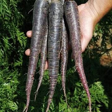 b43f08e7-d18d-4f1b-b0f9-b75aa77d5cea