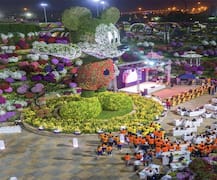  10,000 ਪੌਦਿਆਂ ਤੇ ਫੁੱਲਾਂ ਨਾਲ ਬਣਾਈ ਮਿੱਕੀ ਮਾਊਸ ਦੀ ਸਭ ਤੋਂ ਵੱਡੀ ਮੂਰਤੀ