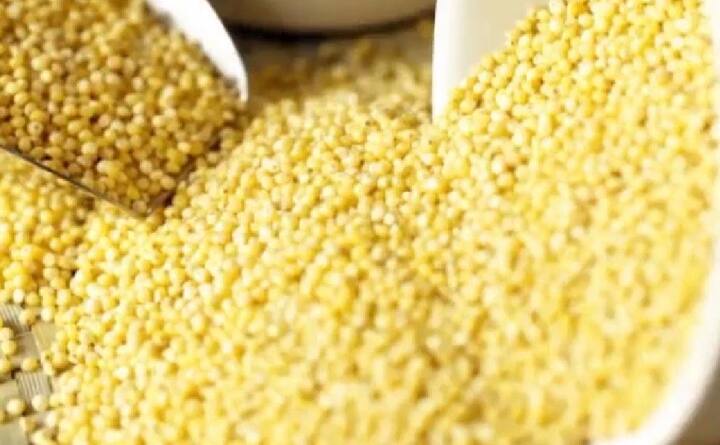 ਜਵਾਰ ਵਿੱਚ ਬਹੁਤ ਸਾਰੇ ਪੌਸ਼ਟਿਕ ਤੱਤ ਹੁੰਦੇ ਹਨ ਜਿਹੜੇ ਤੁਹਾਨੂੰ ਤੰਦਰੁਸਤ ਰੱਖ ਸਕਦੇ ਹਨ। ਕਣਕ ਖਾਣ ਤੋਂ ਐਲਰਜੀ ਹੈ ਤਾਂ ਜਵਾਰ ਦਾ ਸੇਵਨ ਕਰ ਸਕਦੇ ਹੋ। ਜਵਾਰ ਵਿੱਚ ਬਹੁਤ ਫਾਈਬਰ ਹੁੰਦਾ ਹੈ। ਇਸ ਨਾਲ ਇਹ ਆਸਾਨੀ ਨਾਲ ਪਚ ਜਾਂਦਾ ਹੈ। ਜਵਾਰ ਕੈਲੋਸਟ੍ਰੋਲ ਨੂੰ ਕੰਟਰੋਲ ਕਰਦਾ ਹੈ।