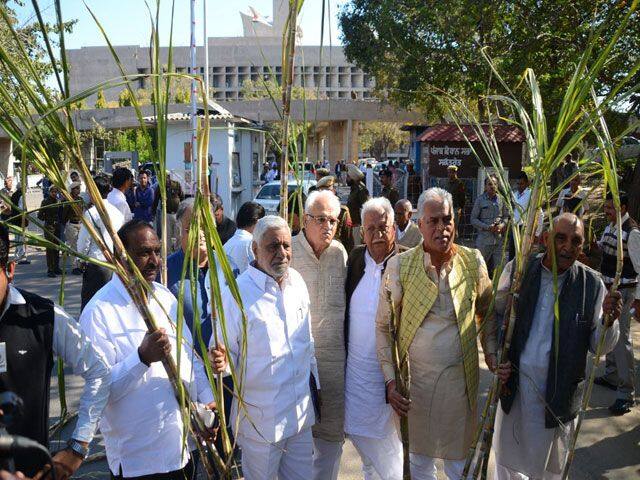 now congress sugarcane protest ਕਾਂਗਰਸੀ ਸਟੰਟ: ਪਕੌੜਿਆਂ ਮਗਰੋਂ ਗੰਨਾ ਪ੍ਰਦਰਸ਼ਨ!