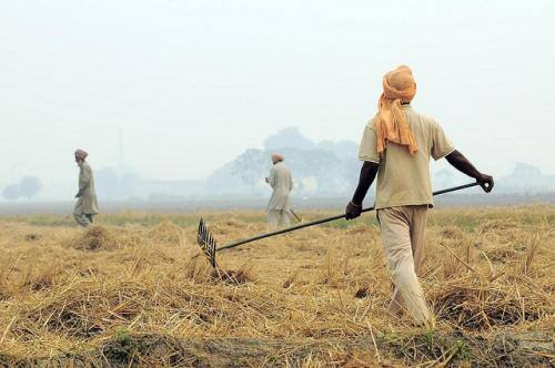 PROTEST IN PUNJAB ਖੇਤ ਮਜ਼ਦੂਰ ਵੀ ਕੈਪਟਨ ਸਰਕਾਰ ਤੋਂ ਔਖੇ