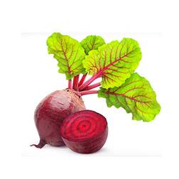 ਚੁਕੰਦਰ ਬੜੇ ਕੰਮ ਦੀ ਚੀਜ਼, ਅਜ਼ਮਾ ਕੇ ਵੇਖੋ