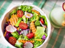 ਸ਼ਾਕਾਹਾਰੀ ਹੁੰਦਿਆਂ ਵੀ ਇੰਨੇ ਫਿੱਟ ਨੇ ਇਹ ਸਿਤਾਰੇ