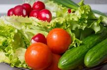 ਸ਼ਾਕਾਹਾਰੀ ਹੁੰਦਿਆਂ ਵੀ ਇੰਨੇ ਫਿੱਟ ਨੇ ਇਹ ਸਿਤਾਰੇ