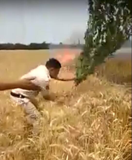 ਥਾਣਾ ਭੂਨਾ ਦੇ ਥਾਣੇਦਾਰ ਤੇ ਉਨ੍ਹਾਂ ਦੇ ਸਹਾਇਕਾਂ ਦੀ ਬਹਾਦਰੀ ਵੇਖ ਖੇਤ ਵਿੱਚ ਕੰਮ ਕਰਨ ਵਾਲੇ ਕਾਮੇ ਤੇ ਹੋਰ ਲੋਕਾਂ ਨੇ ਹਿੰਮਤ ਵਿਖਾਈ ਤੇ ਪੁਲਿਸ ਵਾਲਿਆਂ ਵਾਂਗ ਦਰਖ਼ਤਾਂ ਦੀਆਂ ਟਾਹਣੀਆਂ ਤੋੜ ਅੱਗ ਬੁਝਾਉਣ ਲੱਗ ਗਏ।