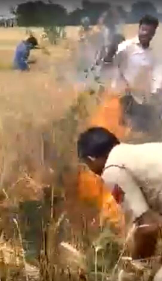 ਘਟਨਾ ਫ਼ਤਿਹਾਬਾਦ ਦੀ ਹੈ, ਜਿੱਥੇ ਇੱਕ ਕਿਸਾਨ ਆਪਣੇ ਖੇਤ ਵਿੱਚ ਕਣਕ ਦੀ ਫ਼ਸਲ ਦੀ ਕਟਾਈ ਕੰਬਾਈਨ ਰਾਹੀਂ ਕਰਵਾ ਰਿਹਾ ਸੀ। ਅਚਾਨਕ ਕੰਬਾਈਨ ਵਿੱਚੋਂ ਸ਼ਾਰਟ ਸਰਕਿਟ ਹੋ ਗਿਆ। 