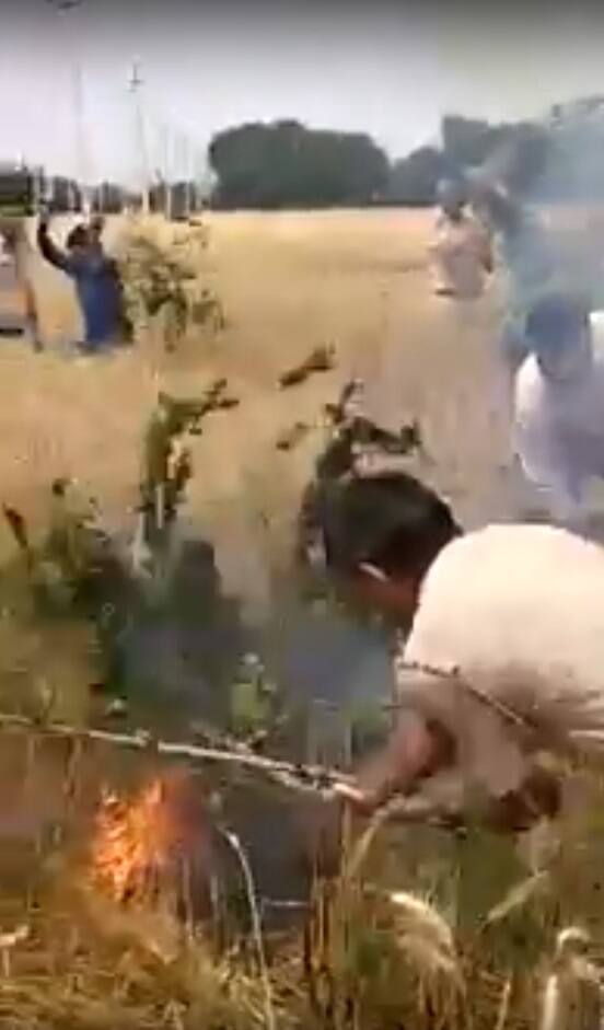 ਫ਼ਤਿਹਾਬਾਦ ਦੇ ਉਪ ਪੁਲਿਸ ਕਪਤਾਨ ਨੇ ਆਪਣੇ ਮੁਲਾਜ਼ਮਾਂ 'ਤੇ ਮਾਣ ਕਰਦੇ ਦੱਸਿਆ ਕਿ ਹਰਿਆਣਾ ਪੁਲਿਸ ਮੁਖੀ ਨੇ ਵੀ ਸੋਸ਼ਲ ਮੀਡੀਆ ਵਿੱਚ ਵਾਇਰਲ ਵੀਡੀਓ ਵੇਖ ਪੁਲਿਸ ਦੇ ਜਾਂਬਾਜ਼ ਜਵਾਨਾਂ ਨੂੰ ਸ਼ਾਬਾਸ਼ੀ ਭੇਜੀ ਹੈ। 