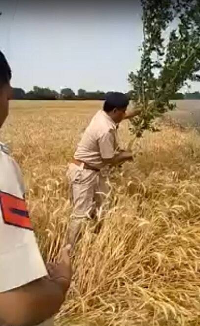 ਜੀ ਹਾਂ, ਅੱਜ ਅਸੀਂ ਤੁਹਾਨੂੰ ਕੁਝ ਅਜਿਹੇ ਪੁਲਿਸ ਮੁਲਾਜ਼ਿਮਾਂ ਬਾਰੇ ਦੱਸਦੇ ਹਾਂ, ਜਿਨ੍ਹਾਂ ਆਪਣੀ ਜਾਨ ਦੀ ਬਾਜ਼ੀ ਲਾਉਂਦਿਆਂ, ਇੱਕ ਕਿਸਾਨ ਦੀ ਪੁੱਤਾਂ ਵਾਂਗ ਪਾਲ਼ੀ ਫ਼ਸਲ ਸੜਨੋਂ ਬਚਾਅ ਲਈ। 