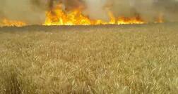ਫਸਲਾਂ ਨੂੰ ਅੱਗ ਤੋਂ ਬਚਾਉਣ ਲਈ ਪਹਿਲ, ਮੁੱਖ ਮੰਤਰੀ ਨੂੰ ਦਿੱਤੇ ਸੁਝਾਅ
